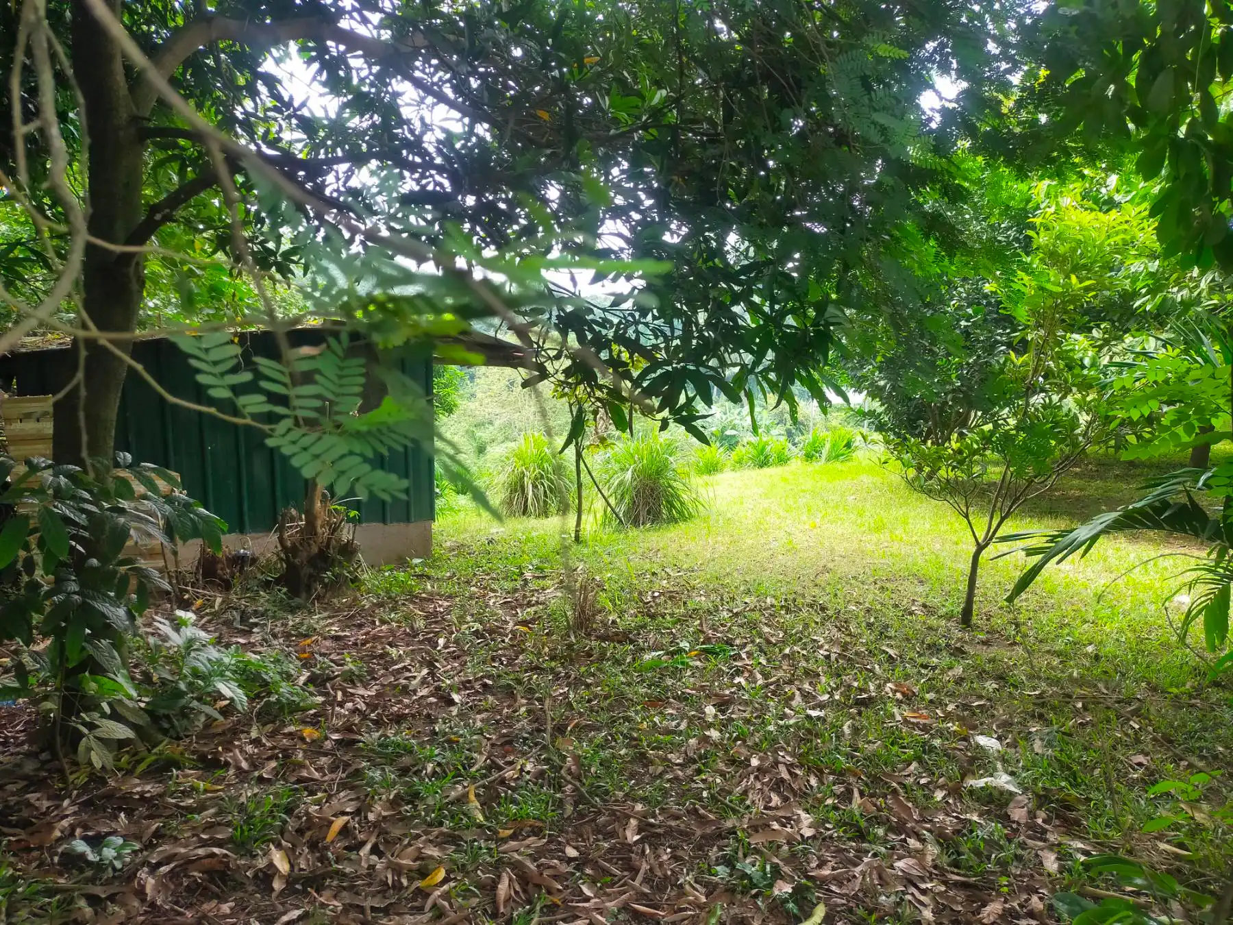 Property 2